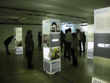 dsci0032.jpg