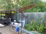 dsci0046.jpg