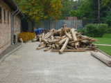 brennholz-1.jpg