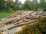 brennholz-2.jpg