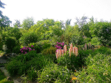 h-garten-a-25052009.jpg