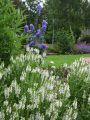 garten-01.jpg