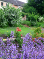garten-02.jpg