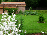 garten-03.jpg