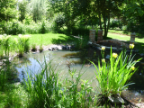 garten-05.jpg