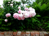 garten-06.jpg