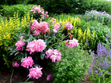garten-08.jpg