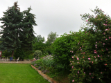 garten-10.jpg