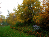 herbst-garten-01.jpg
